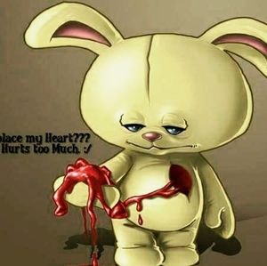 Meet your Posher, Jake